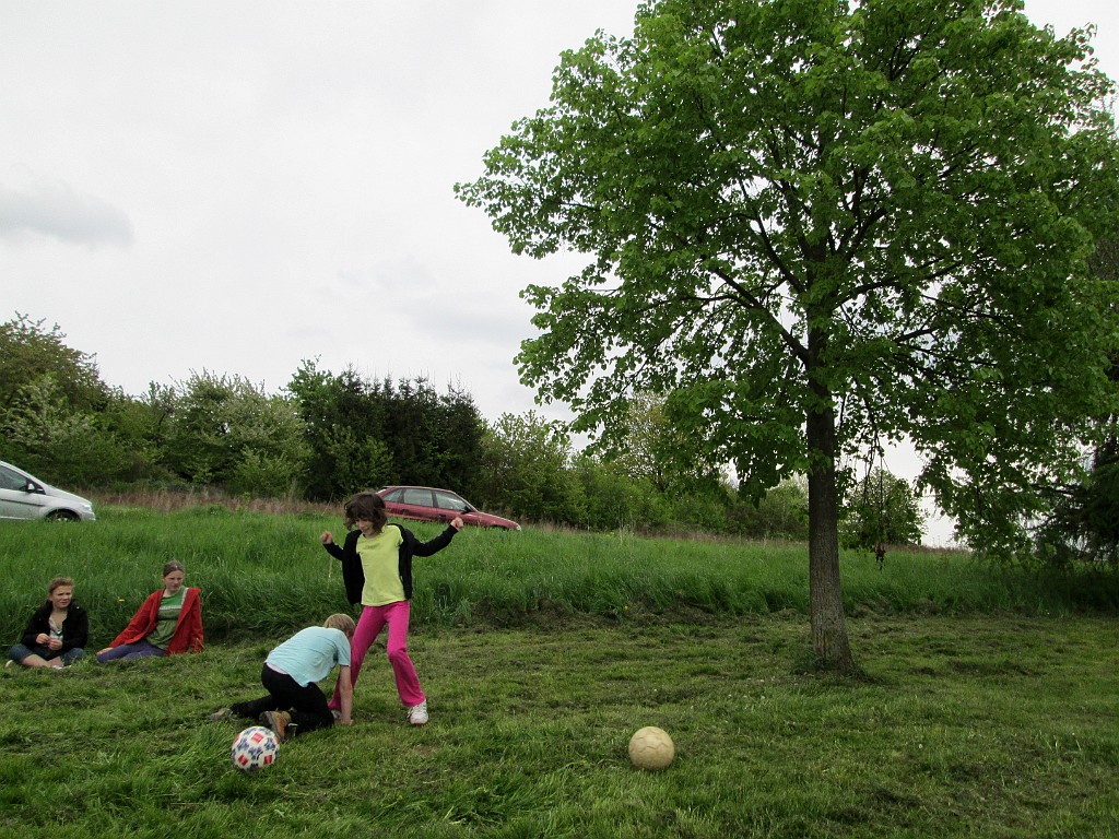 068 Waldesch, mai 2013(Photos Christine Vaissiere)